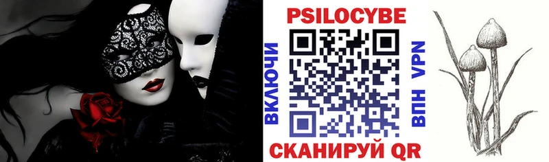 мега как зайти  Учалы  Галлюциногенные грибы Psilocybine cubensis 